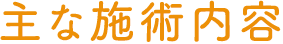 主な施術内容
